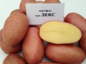Картофель семенной Люкс (Элита) ранний (цена за 1кг) / +/- 25кг в мешке