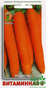Морковь Витаминная 6 (Поиск) Ц