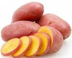 Картофель семенной Родриго средне-ранний сорт 70-85 дней кожура красная 5кг (цена за 5кг) 