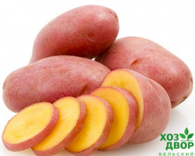 Картофель семенной Родриго средне-ранний сорт 70-85 дней кожура красная 5кг (цена за 5кг) 