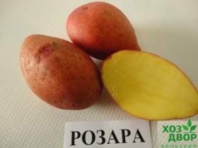 Картофель семенной Розара 5кг (цена за 5кг) 