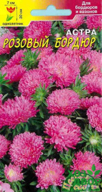 Астра Бордюр розовый (Цветущий сад) Ц