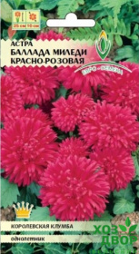 Астра Баллада Миледи красно - розовая (Евро семена) Ц