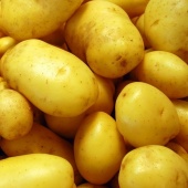 Картофель семенной Зекура (Элита) среднеранний (цена за 1кг) / +/- 35кг в мешке