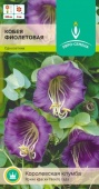 Кобея Фиолетовая (Евро семена) Ц