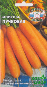 Морковь Пучковая (Седек) Ц