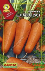 Морковь дражжированная Шантане 2461 (Аэлита)