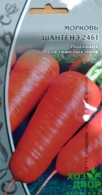 Морковь Шантанэ 2461 (ВХ) Ц