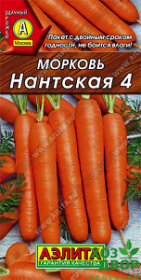 Морковь Нантская 4 (Аэлита) Ц