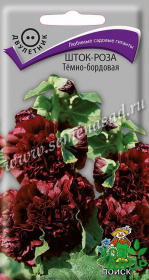 Шток-роза Темно - бордовая (Поиск) Ц