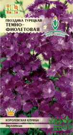 Гвоздика Темно - фиолетовая турецкая (Евро семена) Ц