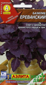 Базилик Ереванский фиолетовый (Аэлита) Ц