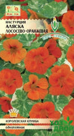 Настурция Аляска лососево - оранжевая (Евро семена) Ц