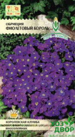 Обриеция Фиолетовый король (Евро семена) Ц