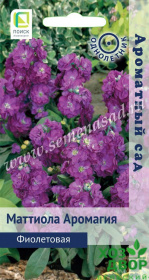 Маттиола Фиолетовая (Поиск) Ц